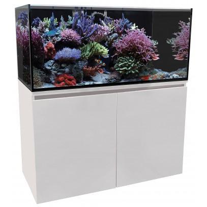 Aqua One ReefSys 326 Marine Freshwater Sump Aquarium Aquarium Gallery