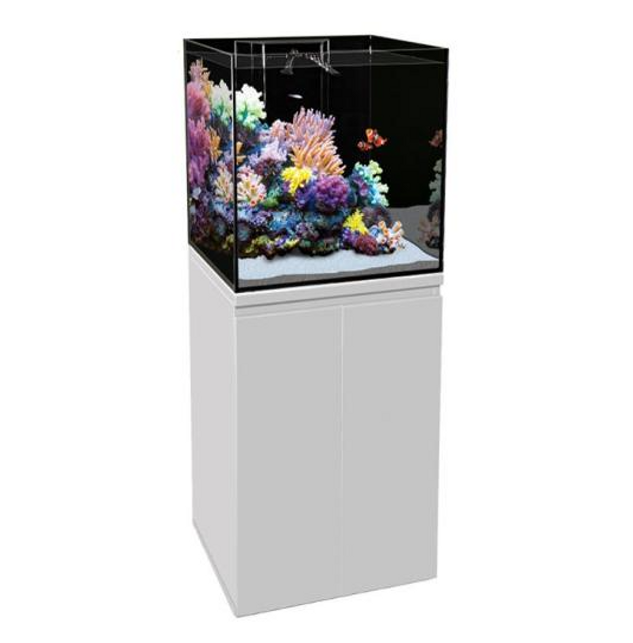 Aqua One ReefSys 180 Marine/Freshwater Sump Aquarium