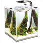 Aquael Shrimp Set Day & Night Smart Set Aquarium